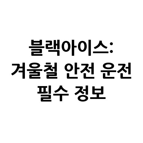 블랙아이스_겨울철_안전_운전_필수_정보