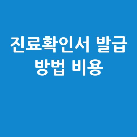 진료확인서 발급 방법 비용 바로가기 홈페이지