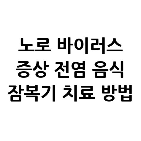 노로 바이러스 증상과 전염 음식 잠복기 치료 방법 안내