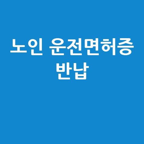 노인 운전면허증 반납, 안전한 교통사고 예방