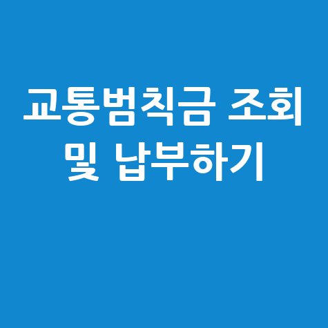 교통범칙금 조회와 납부방법 알고 납부하기
