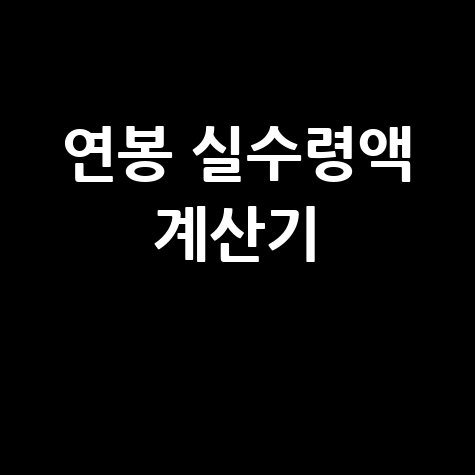 연봉 실수령액 계산기 활용법