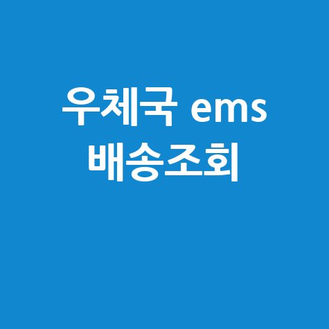 우체국 EMS 배송조회: 해외택배 등기번호 조회 방법