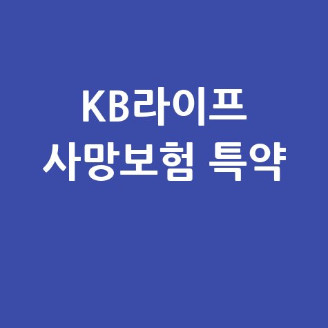 KB라이프 사망보험금 유동화 특약 바로가기