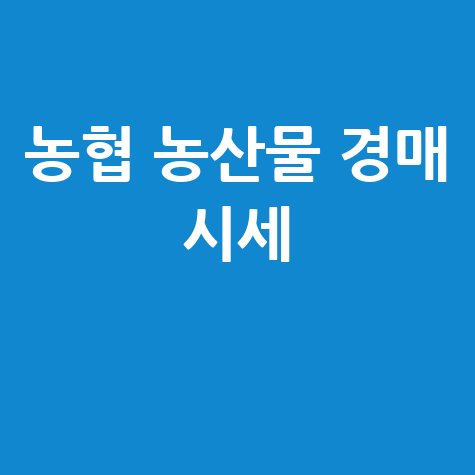 농협 농산물 경매 가격 최신 시세 확인