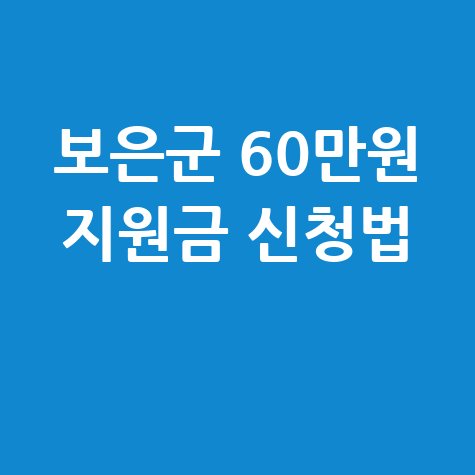 2026 보은군 1인당 60만원 민생지원금 신청방법