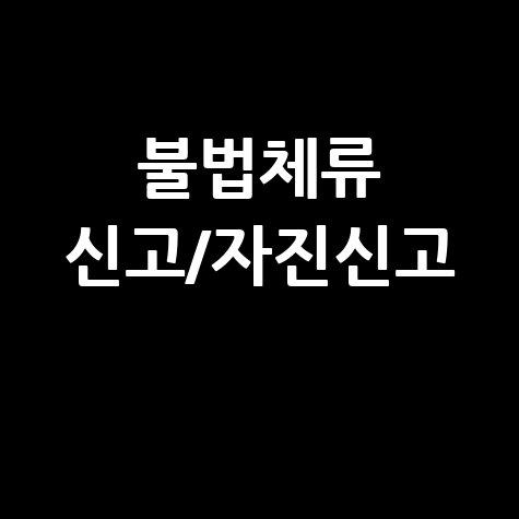 불법체류자 신고, 포상금, 자진신고: 완벽 가이드