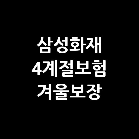 삼성화재 다이렉트 '4계절보험' 겨울플랜 보장 내용 바로가기