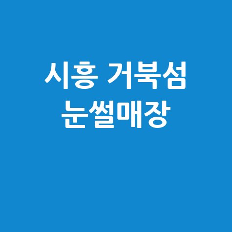 시흥 거북섬 스케이트장 눈썰매장 이용요금 운영시간 예약방법