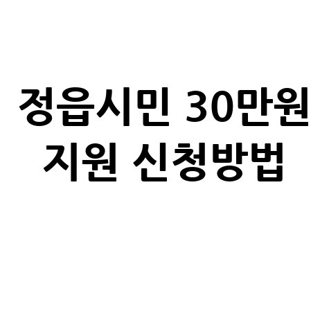 정읍 시민 30만원 민생지원금 신청방법 자격 대상