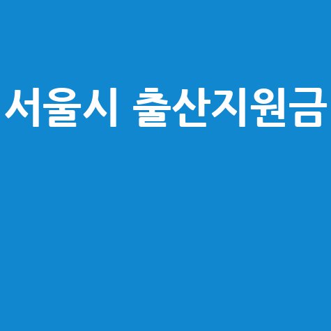 서울시 출산지원금 혜택과 신청방법 완벽 가이드