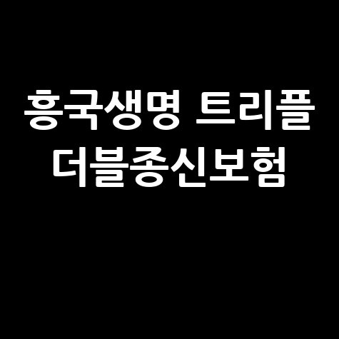 흥국생명 트리플더블종신보험 바로가기 혜택 보장내용