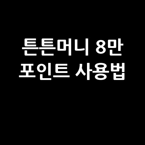 2026 튼튼머니 8만원 적립 및 사용법