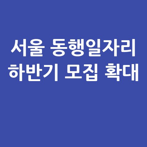 서울 동행일자리 하반기 참여자 모집 확대