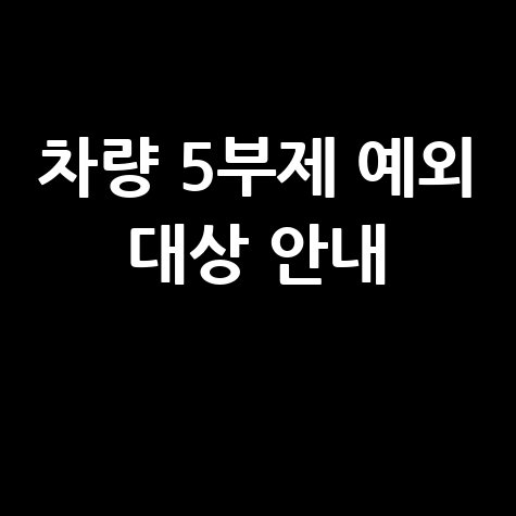 차량 5부제 위반 처벌 제외 대상 총정리