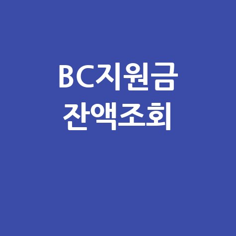BC고유가피해지원금 2차 잔액조회 및 사용법
